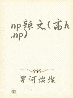 np辣文(高h,np)