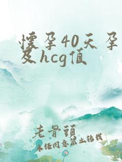 怀孕40天孕酮及hcg值