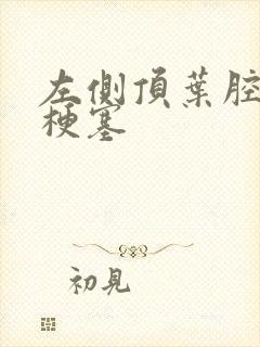 左侧顶叶腔隙性梗塞