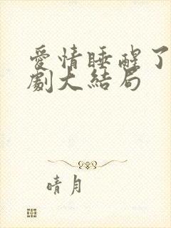 爱情睡醒了电视剧大结局