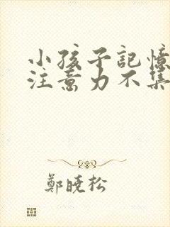 小孩子记忆力差注意力不集中挂什么科