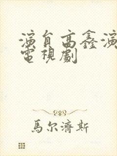 演员高鑫演过的电视剧