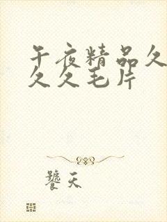 午夜精品久久久久久毛片