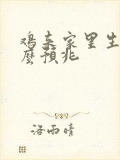 鸡来家里生蛋什么预兆