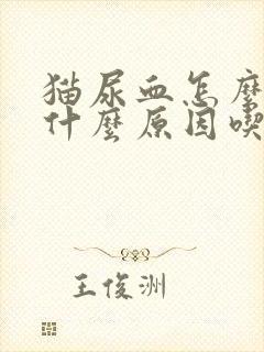 猫尿血怎么办是什么原因吃什么药比较好