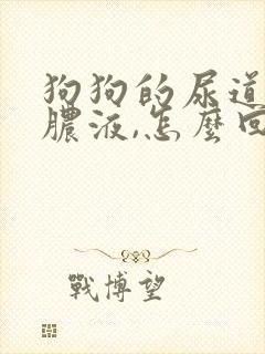 狗狗的尿道口有脓液,怎么回事儿