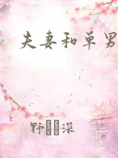 夫妻和单男小说