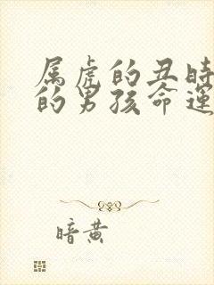 属虎的丑时出生的男孩命运如何