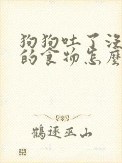 狗狗吐了没消化的食物怎么办