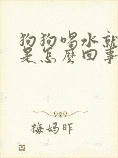 狗狗喝水就吐水是怎么回事