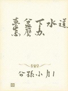 台盆下水道堵了怎么办