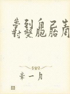 梦到自己生了一对双胞胎周公解梦