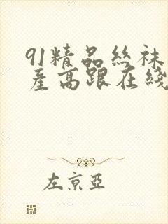 91精品丝袜国产高跟在线