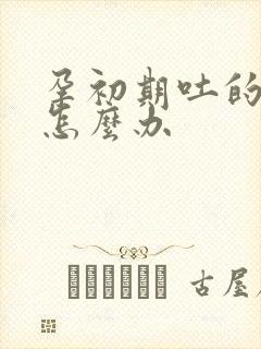 孕初期吐的厉害怎么办