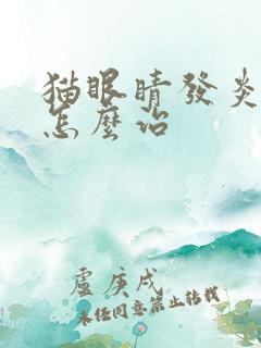 猫眼睛发炎流脓怎么治