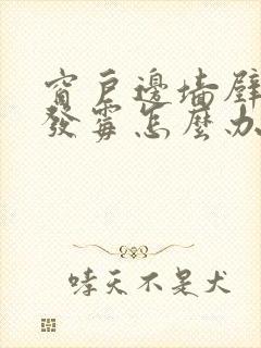 窗户边墙壁渗水发霉怎么办