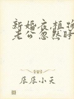 新婚夜,植物人老公忽然睁开眼最新版