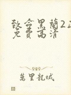 致命黑兰2正版免费高清