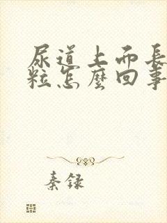 尿道上面长小颗粒怎么回事