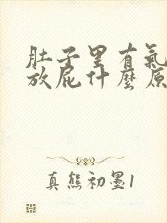 肚子里有气一直放屁什么原因