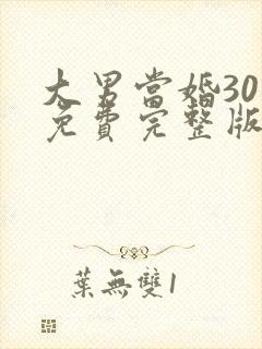 大男当婚30集免费完整版