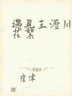 遇见王沥川全部花絮