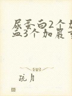 尿蛋白2个加潜血3个加严重吗