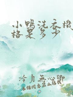 小鸭洗衣机的价格是多少