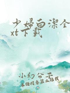 少妇白洁全文txt下载