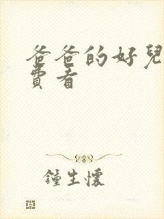 爸爸的好儿子免费看