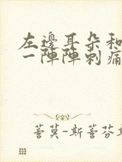 左边耳朵和头部一阵阵刺痛