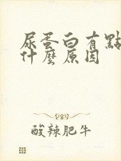 尿蛋白有点高是什么原因