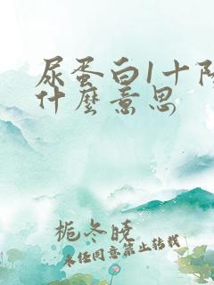 尿蛋白1十阳是什么意思