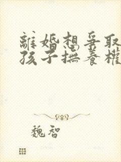 离婚想争取两个孩子抚养权