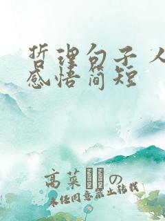 哲理句子 人生感悟简短