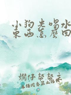 小狗光喝水不吃东西怎么回事