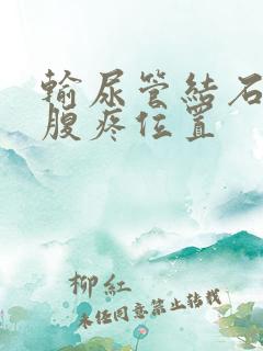 输尿管结石左下腹疼位置