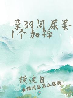 孕39周尿蛋白1个加号