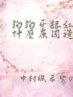 狗狗牙龈红肿是什么原因造成的