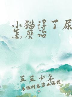 小猫得了尿闭症怎么治