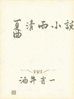 夏清雨小说三部曲