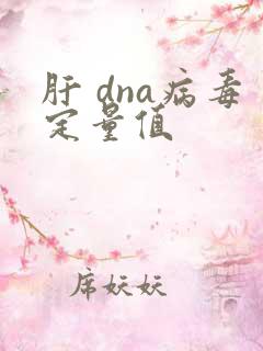 肝 dna病毒定量值