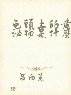 龟头上的黄色分泌物是什么