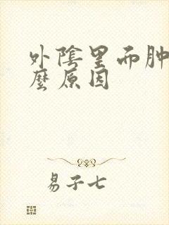 外阴里面肿是什么原因