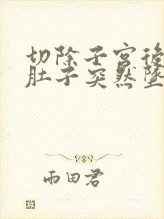 切除子宫后半年肚子突然坠痛