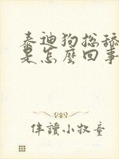 泰迪狗总舔爪子是怎么回事