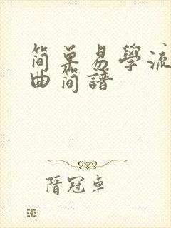 简单易学流行歌曲简谱