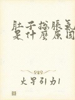 肚子总胀气打嗝是什么原因