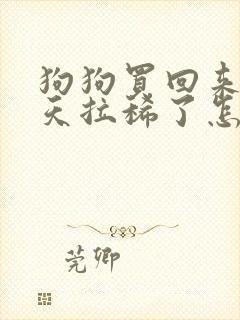 狗狗买回来第二天拉稀了怎么办