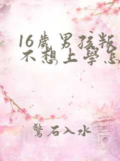 16岁男孩叛逆不想上学怎么办